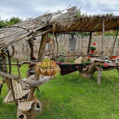 Casa Mirandre Daire Haţeg Dış mekan fotoğraf