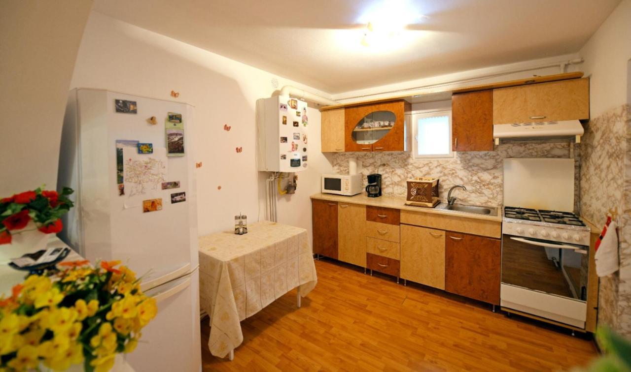 Casa Mirandre Daire Haţeg Dış mekan fotoğraf